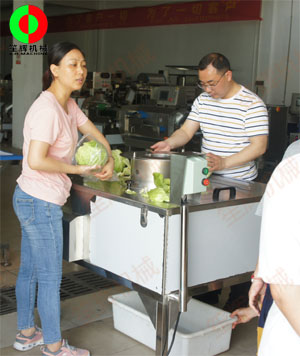 蔬果分瓣機(jī)現(xiàn)場(chǎng)測(cè)試，客戶滿意切割效果！