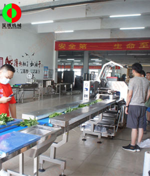 枕式蔬果包裝生產(chǎn)線,客戶現(xiàn)場(chǎng)測(cè)試驗(yàn)收！
